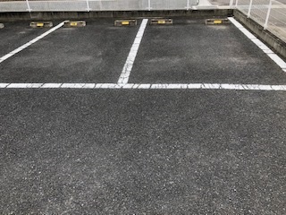レオネクストビブレアム
